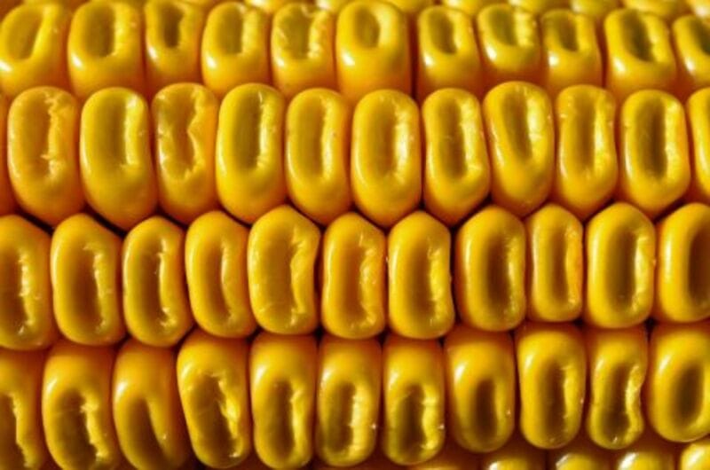 Corn Rally Extending to Midday on Warmer/Dryer Forecasts